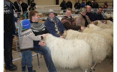 Dagur sauðkindarinnar!