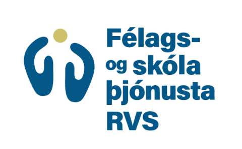 Kennsluráðgjafi í 100% stöðu