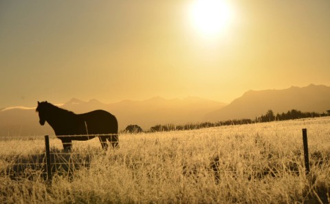Til leigu fjallaskálar og girðingar á Holtamannaafrétti
