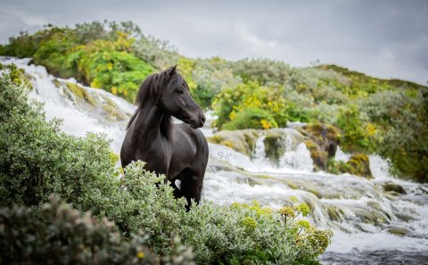 FUNDARBOÐ
36. fundur sveitarstjórnar Rangárþings ytra (aukafundur) kjörtímabilið 2022-2026
verður …