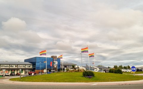 Við fögnum fjölbreytileikanum