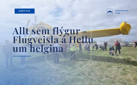 Allt sem flýgur um helgina