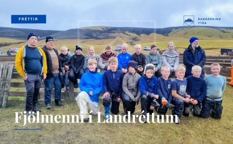 Fjölmenni í Landréttum