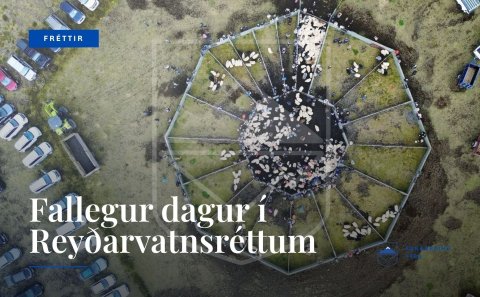 Ljósmynd: Þráinn Gíslason.