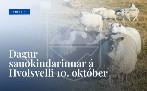 Dagur sauðkindarinnar á Hvolsvelli 10. október