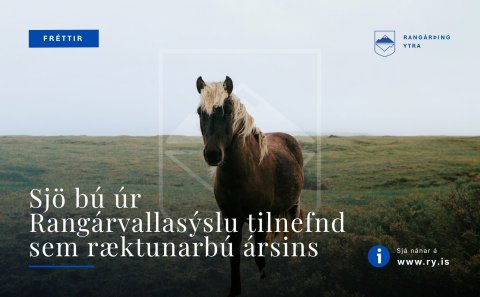 Sjö bú úr Rangárvallasýslu tilnefnd til ræktunarbús ársins