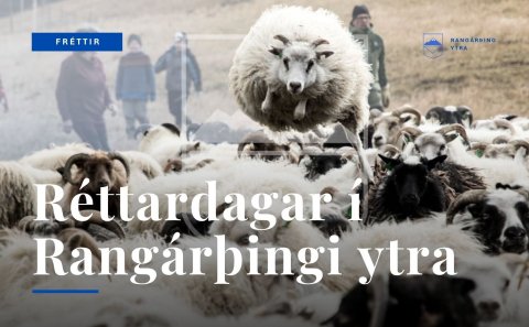 Réttardagar í Rangárþingi ytra 2026