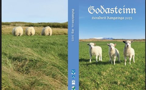 Goðasteinn - útgáfufögnuður