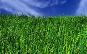 Sorpstöð Rangárvallasýslu auglýsir vor- og sumarhreinsun