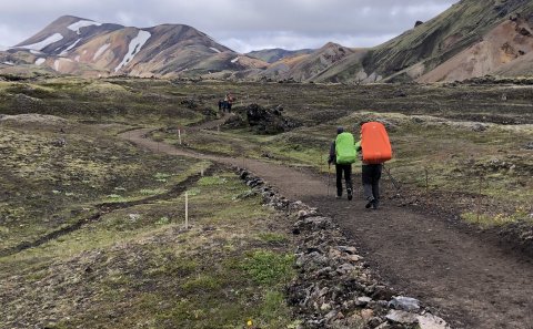 Auglýst eftir teymisstjóra/kennsluráðgjafa í fullt starf