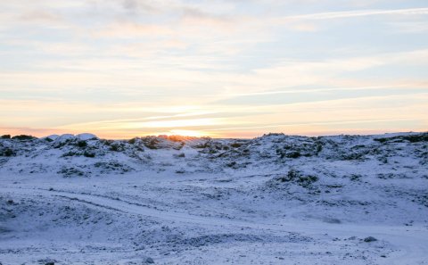 Sérstakur húsnæðisstuðningur