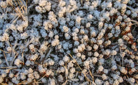 Snjómokstur í Rangárþingi ytra