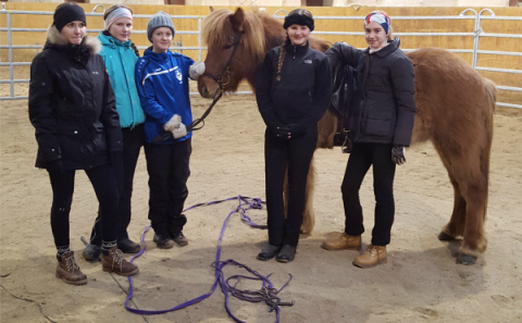 Hestaval Grunnskólans á Hellu
