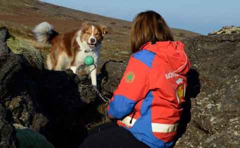 Björgunarhundasveit Íslands æfir í Rangárþingi ytra um helgina