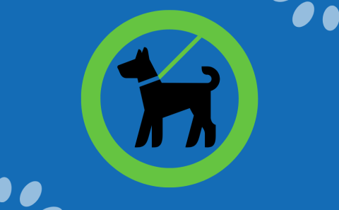 Stöðva þarf lausagöngu hunda á Hellu