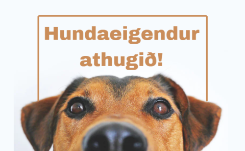 Skráning hunda í þéttbýli