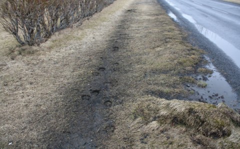 Bréf til hreppsnefndar frá Hjördísi G. Brynjarsdóttur