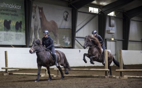 Hindrunarstökk. 
Mynd: Anný Tinna Aubertsdóttir