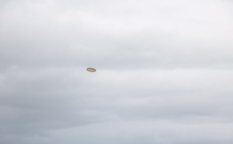 Fljúgandi frisbígolfdiskur í Nesi.