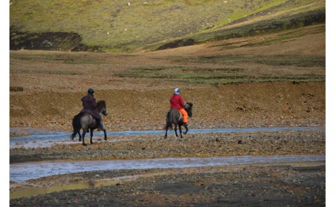 Jafnréttisáætlun Rangárþings ytra