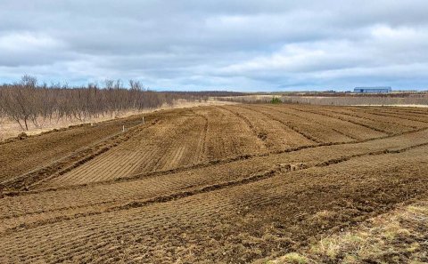 Búið er að tæta og allt tilbúið.