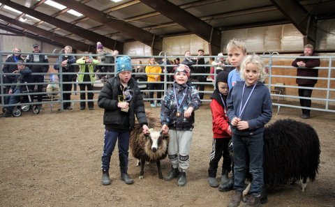 Litfegursta lambið 2021