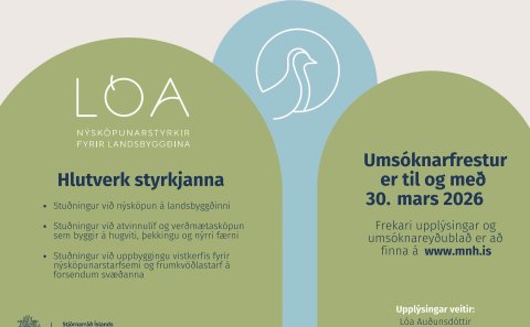 Lóa - nýsköpunarstyrkir fyrir landsbyggðina