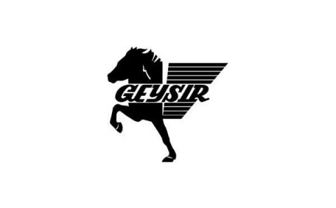 Firmakeppni Rangárvalladeildar Geysis