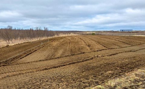 Einn, tveir og rækta!