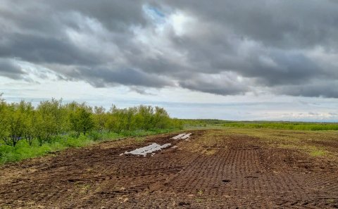 Matjurtagarðar til afnota fyrir íbúa Rangárþings ytra!
