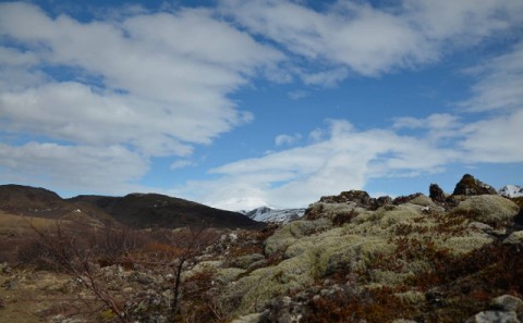 Slagkraftur - ferðaþjónusta í Rangárþingi ytra
