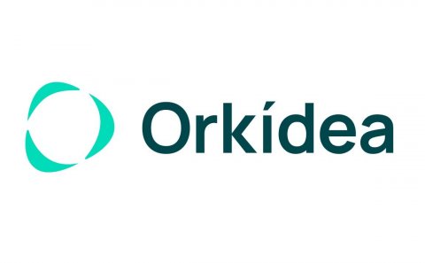 Orkídea leitar að verkefnastjóra