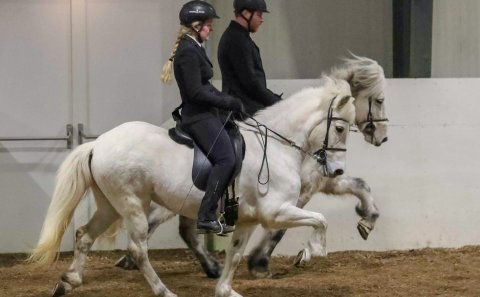 Parafimi Suðurlandsdeildarinnar í Rangárhöllinni