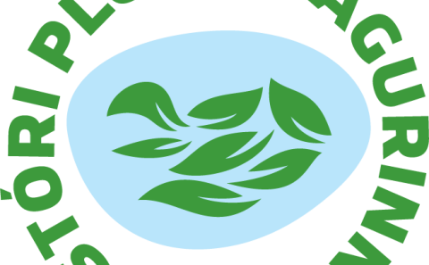 Plokkdagur í Rangárþingi ytra 27. maí