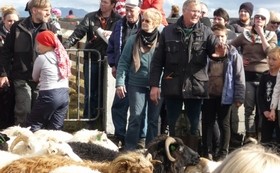 Reyðarvatnsréttir hefjast kl. 11 laugardaginn 22. september