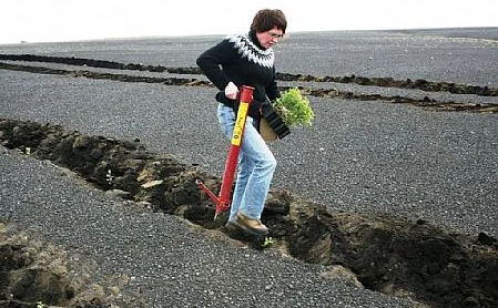 Sigríður H. Heiðmundsdóttir formaður Skógræktarfélags Rangæinga við gróðursetningu á Geitasandi.