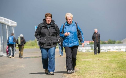 Sjálfboðaliðar óskast á Landsmót hestamanna