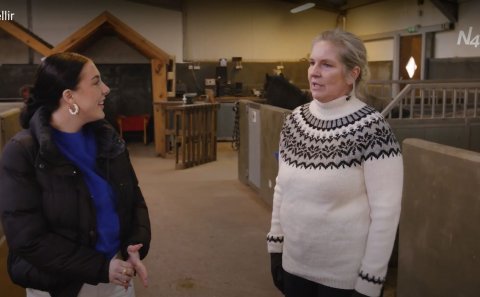 N4 heimsækja Skeiðvelli