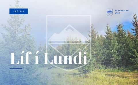 Líf í Lundi