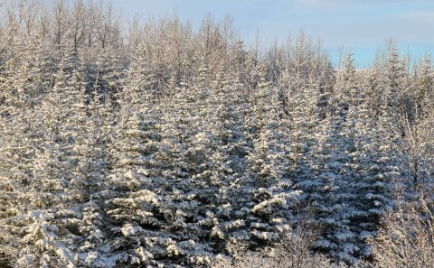 Tilkynning vegna óveðurs - skólahald fellur niður á mánudag