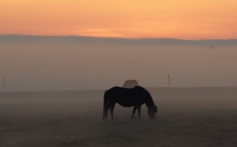 Vinnuskólinn hefst mánudaginn 6. júní!