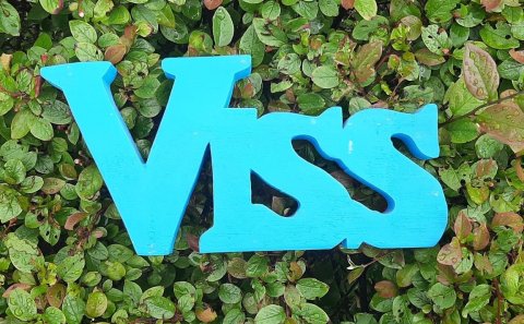 VISS leitar að leiðbeinanda